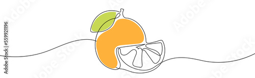 Orange with slice one continuous line vector illustration. Colorful orange hand drawn