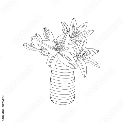 Bouquet of orchids in a vase. Hand draw vector for coloring page