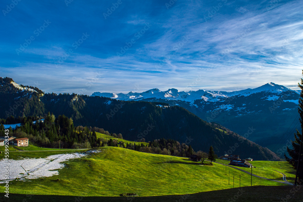landscape in the mountains