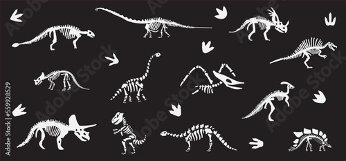 Dinosaur skeleton set diplodocus, triceratops, t-rex, stegosaurus, parasaurolophus etc.