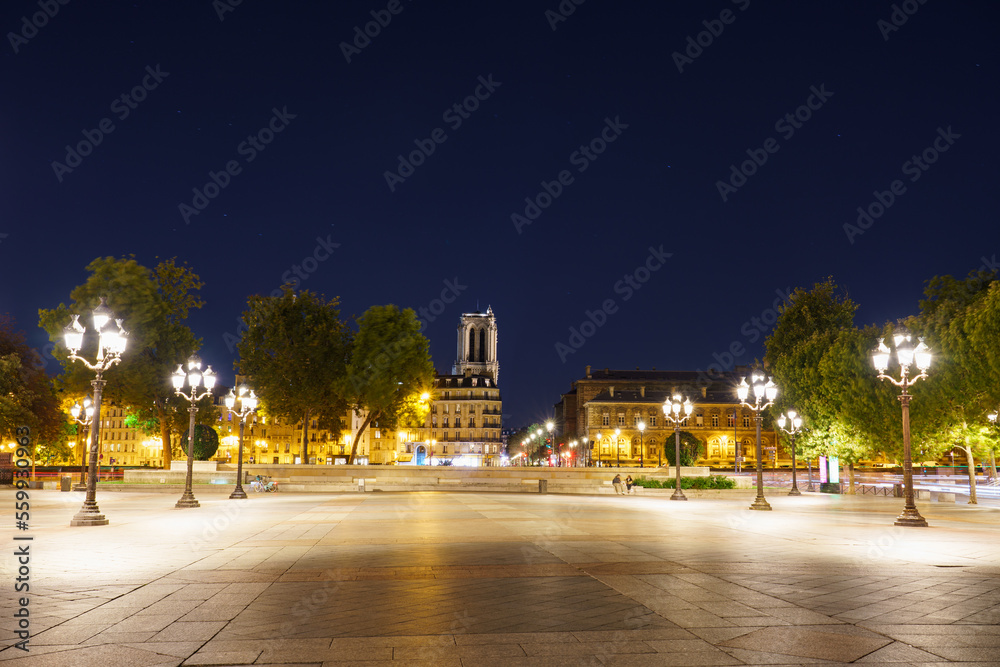 Notre Dame cathedral at night in Paris. France