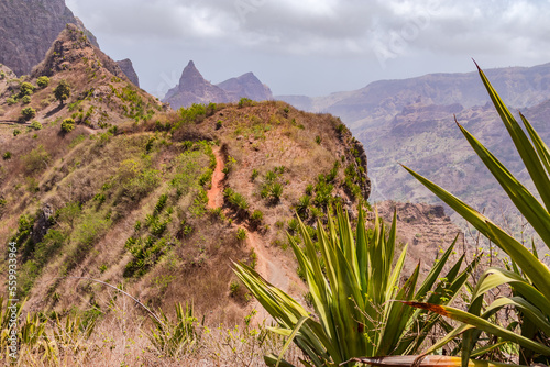 A lonely steep hiking trail through grass and agaves on the mountainous Santiago island, Cape Verde photo
