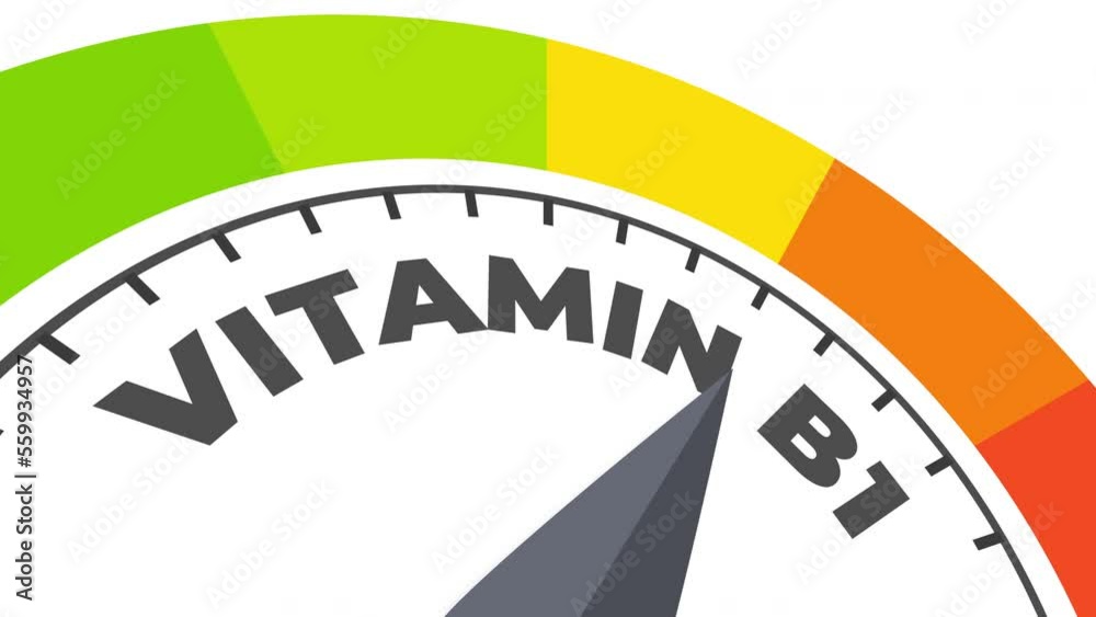 vitamin B1 level measuring device animation.zoom effect.Infographic gauge, tachometer, speedometer. vitamin B1 level measuring device animation.zoom effect.Infographic gauge, tachometer, speedometer.