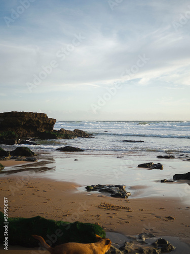 Ocean Beach with rocks and waves