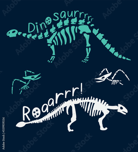 Dinosaur skeleton set diplodocus, triceratops, t-rex, stegosaurus, parasaurolophus etc.