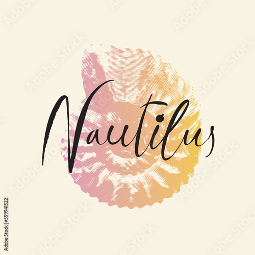 vector logo sign with drawing of ancient petrified ammonite shells or nautilus pampilius. exhibits of the paleontological museum from extinct marine mollusks and animals of the sea and ocean fauna