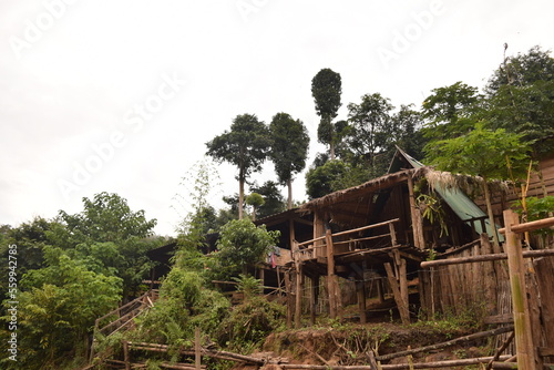 old house in the woods