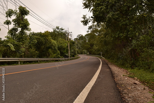 road in the forest