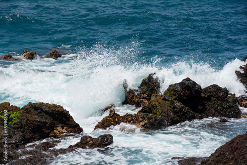 Lava stones in the surf © Claudia Evans 