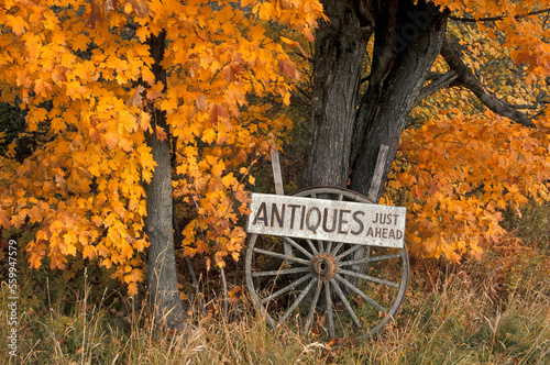 Antiques just ahead sign near Carroll, Fall Colors, Indian Summer, Maine, USA photo