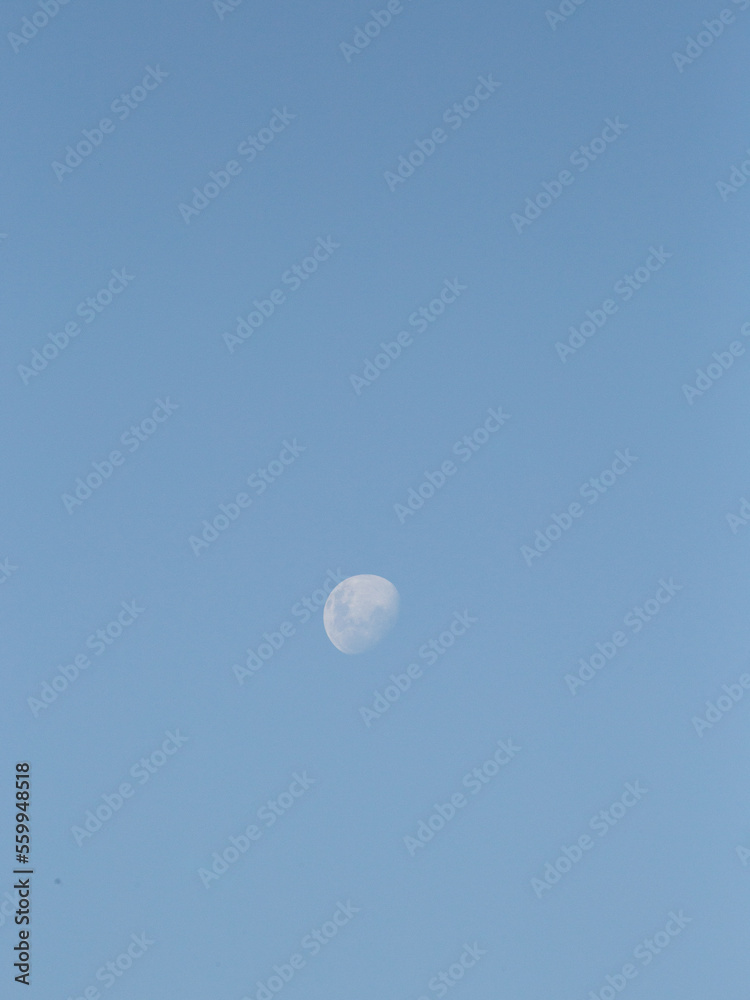 moon in the sky moon in the sky