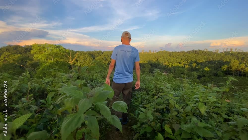 A young man walking through the wilderness in Southern Asia Bangladesh