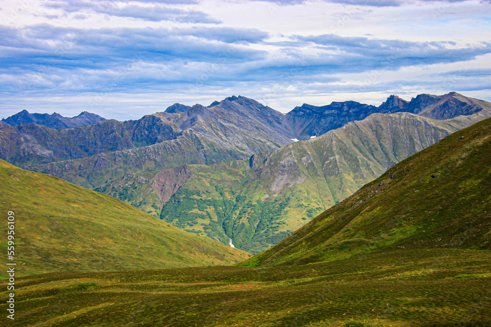 landscape in summer mountain valley