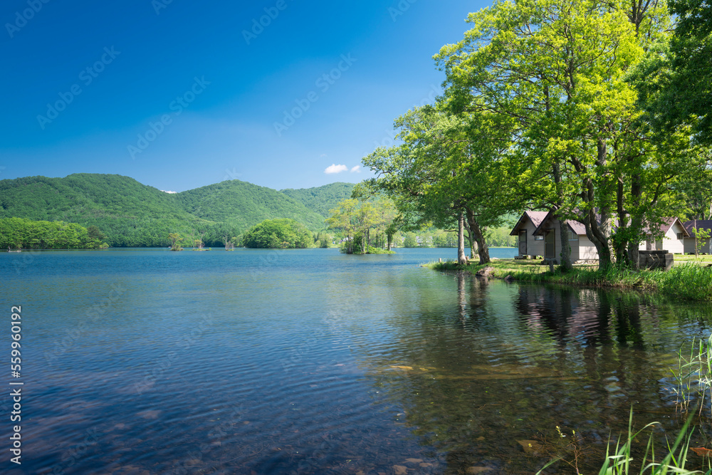 Obraz premium 磐梯高原