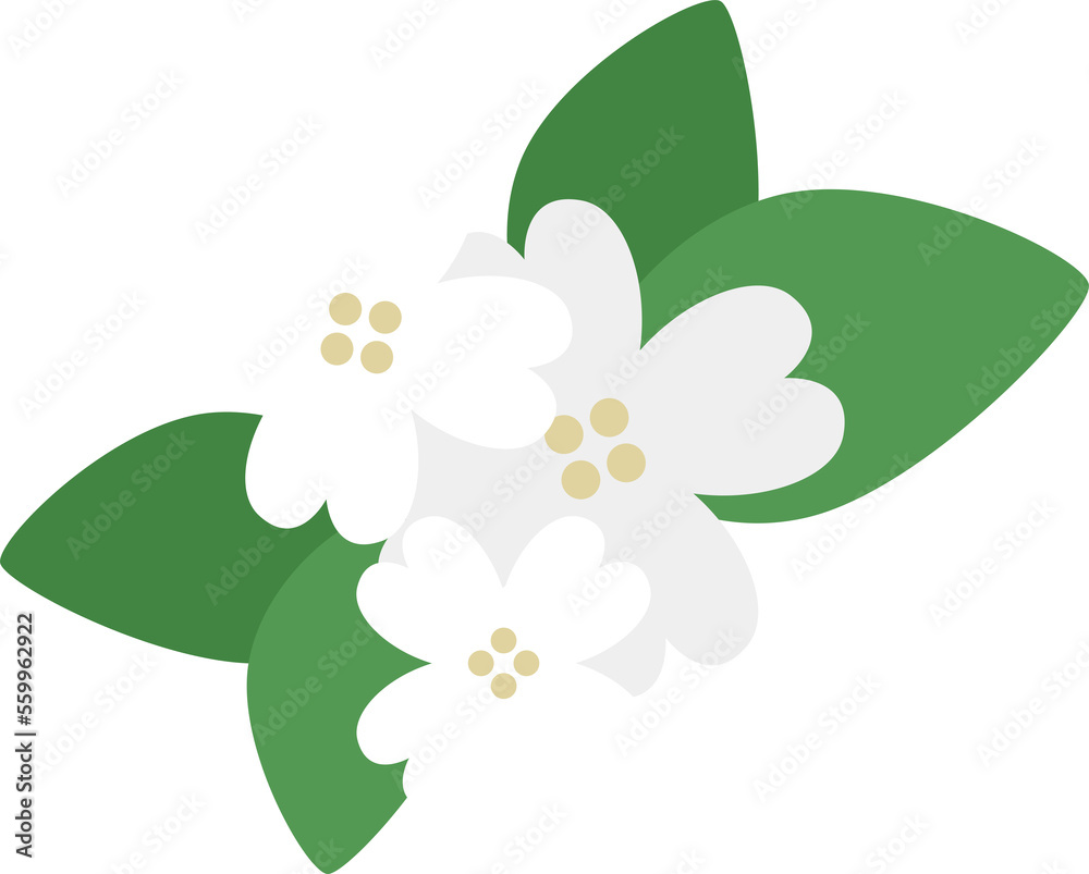 Cartoon comic vector icon of pomelo flower