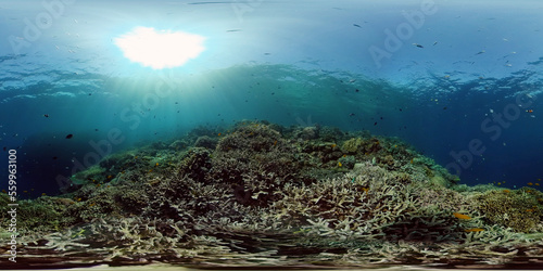 Colourful tropical coral reef. Hard and soft corals, underwater landscape. Philippines. Virtual Reality 360.