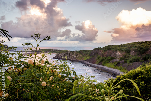 Um quadro perfeito da natureza com o mar, o morro e plantas enfeitando o cenário.  photo