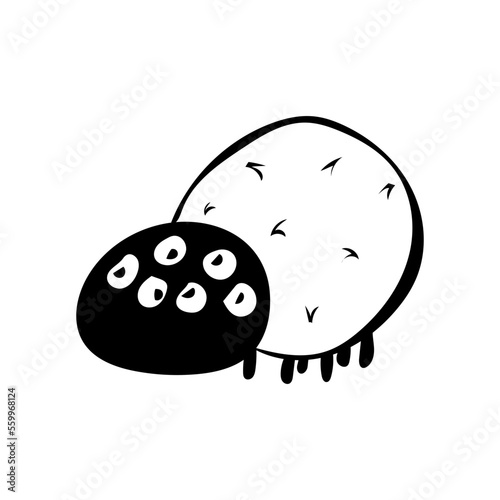 Spinne