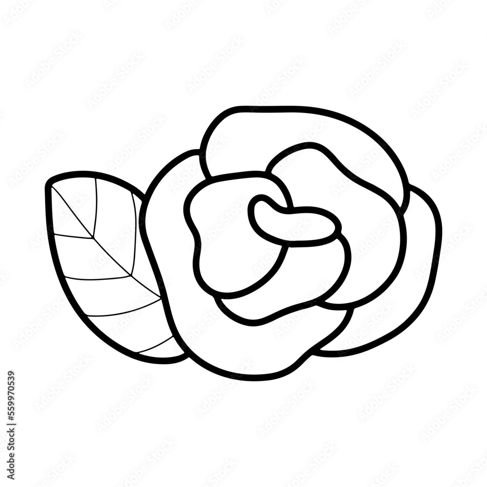 flower flower