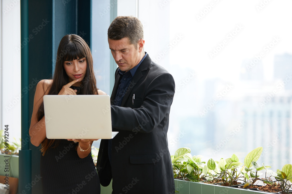 businesswoman and businessman working with laptop computer in the office