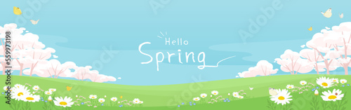 Fotografie, Tablou Spring flowers banner background with copy space