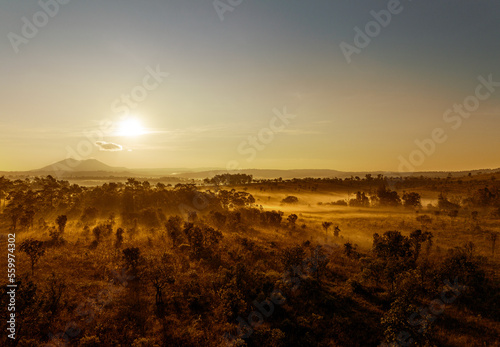 Beautiful and fertile forest landscape, winter During a foggy sunrise morning in Thung Salaeng Luang National Park, Thailand. Travel concept. © Photo Sesaon