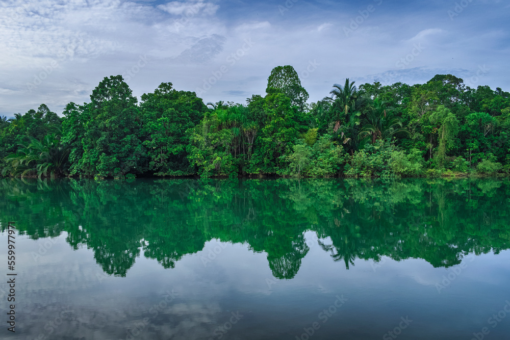 green tropical forest and crystal clear water river reflection in the morning