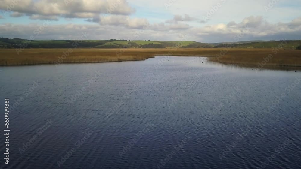 Drone gliding over marsh land by Great Ocean road Melbourne twelve apostles with birds Australia by Taylor Brant Film Drone gliding over marsh land by Great Ocean road Melbourne twelve apostles with birds Australia by Taylor Brant Film