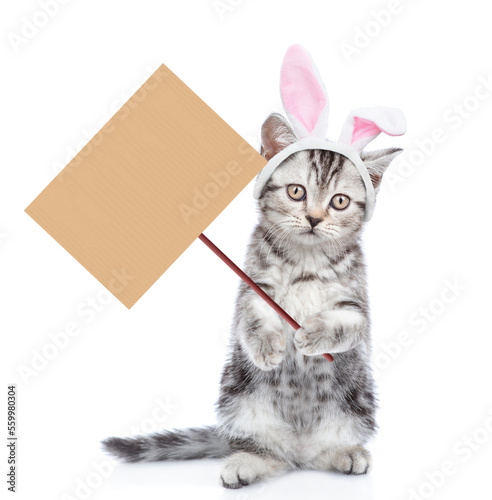 Tabby kitten wearing easter rabbits ears stands on hind legs and shows empty placard. Isolated on white background