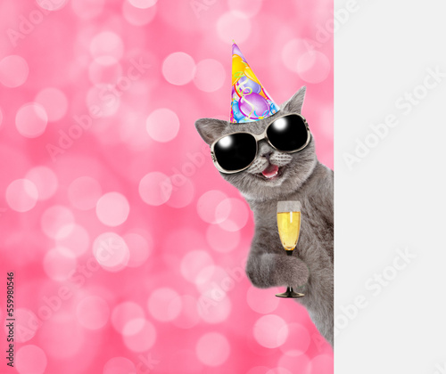Happy cat wearing sunglasses and birthday cap holds glass of champagne and look from behind empty board. Shade trendy color of the year 2023 - Viva Magenta background. Empty space for text