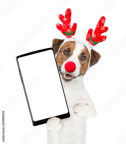 Jack russell terrier puppy dressed like santa claus reindeer  Rudolf holds big smartphone with empty screen in it paw, showing close to camera. isolated on white background © Ermolaev Alexandr