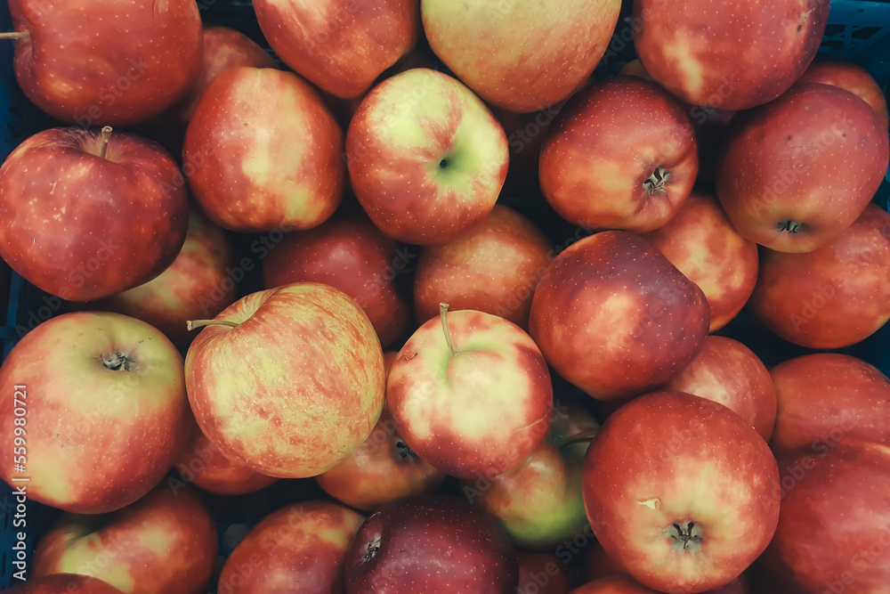 lots of beautiful fresh apples on the counter in the store lots of beautiful fresh apples on the counter in the store