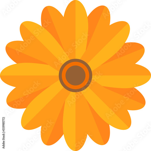Cartoon comic vector of calendula with lutein