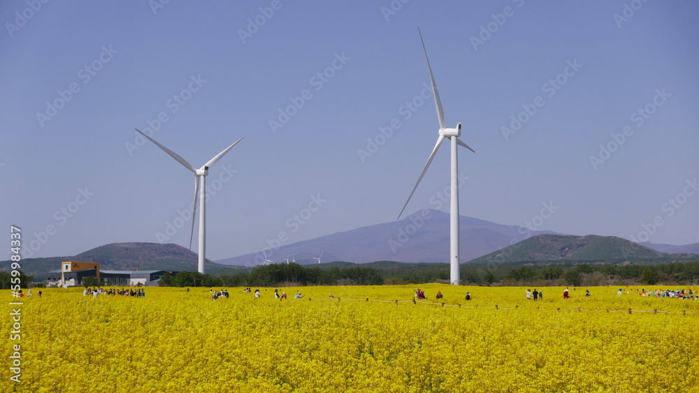 Yellow flower field and wind turbine Eco-friendly energy Spring Yellow flower field and wind turbine Eco-friendly energy Spring