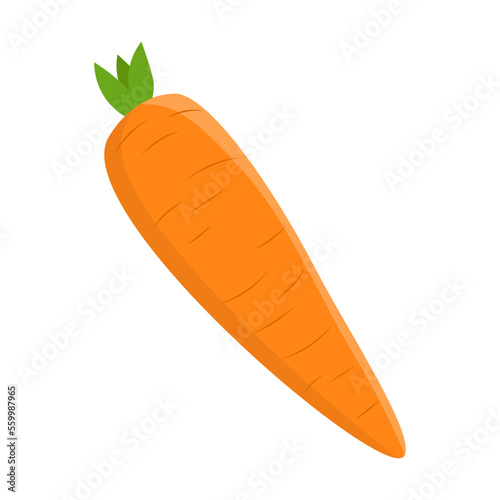 Cartoon drawing of white orange carrot with vitamin A isolated on white background. Colorful vegetable vector illustration. Organic food, health concept