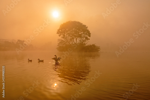 sunrise on the lake