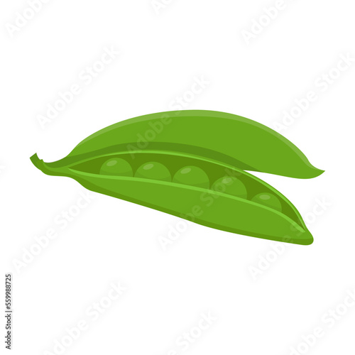 Cartoon drawing of green pea pod isolated on white background. Colorful vegetable vector illustration. Organic food, health concept