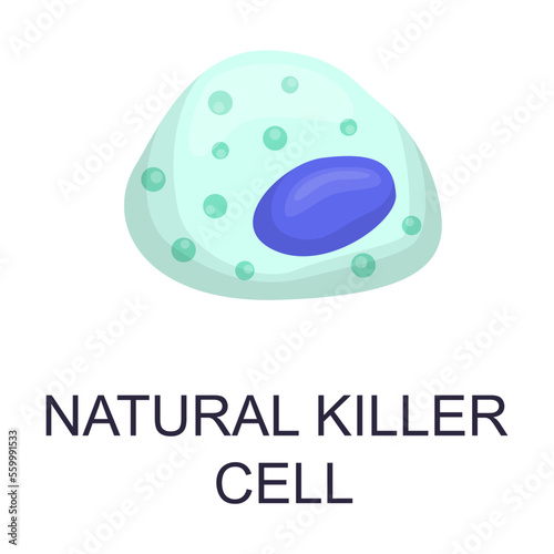 Blood cell illustration. Cartoon drawing of leukocytes, neutrophil, monocyte, basophil, eosinophil, macrophage, dendritic cell. Anatomy, biology, science concept