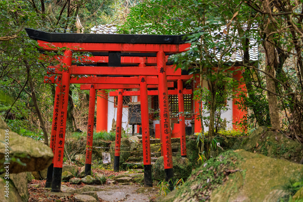 Bright red Japanese gates on stone walkway to small shrine in woods Bright red Japanese gates on stone walkway to small shrine in woods