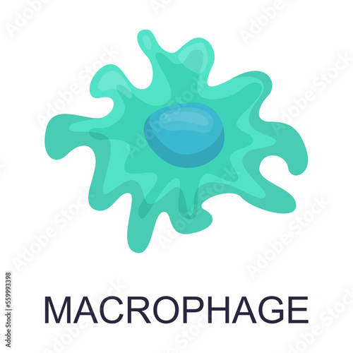 Konstfotografi Blood cell