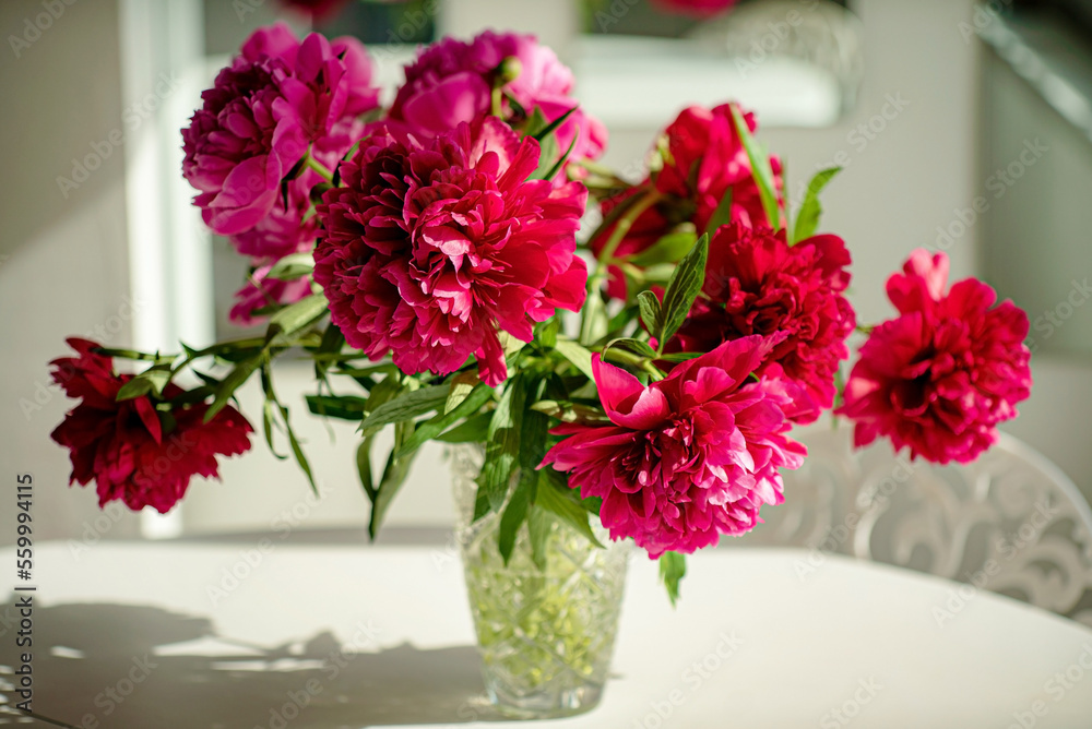 nice peonies in the vase nice peonies in the vase