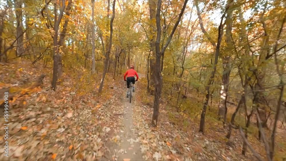 FPV drone, mountain biker biking on a dirt path in forest during autumn season FPV drone, mountain biker biking on a dirt path in forest during autumn season