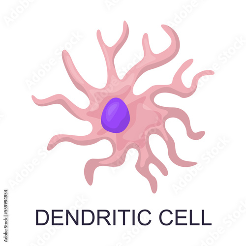 Blood cell vector illustration. Cartoon drawing of leukocytes, neutrophil, monocyte, basophil, eosinophil, macrophage, dendritic cell. Anatomy, biology, science concept
