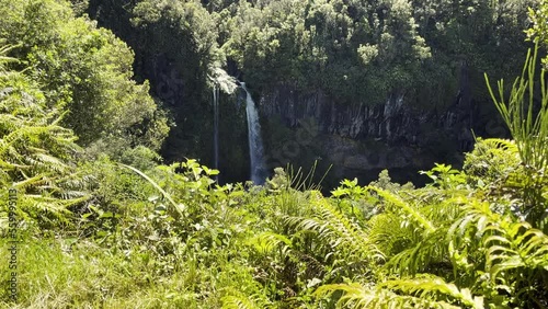 Dawson Falls In Egmont National Park At The North Island of New Zealand, Taranaki Region. Static Shot photo