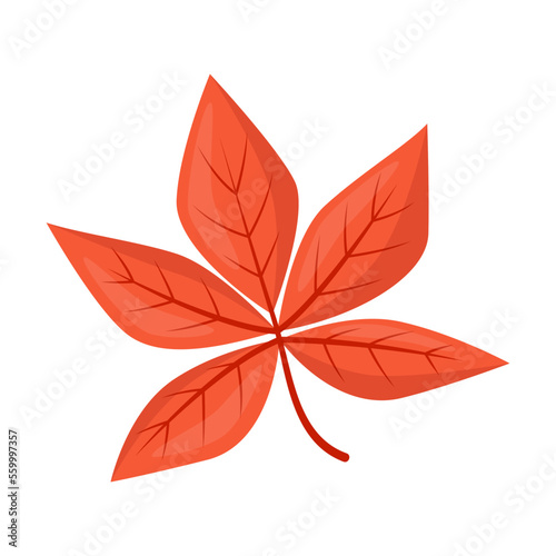 Cartoon drawing of red maple leaf isolated on white background. Autumn plant vector illustration. Nature, autumn or fall concept
