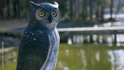 A plastic owl keeping watch over a lake on a deck. photo