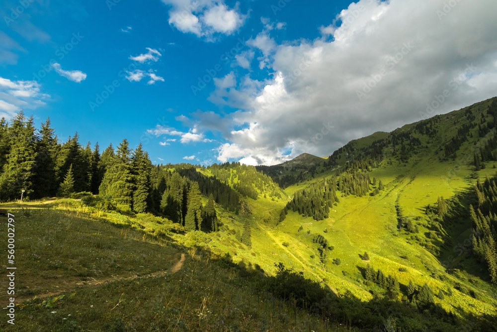 High Central Asian mountains covered green spruce forest and summer grass near Almaty city in Kazakhstan.