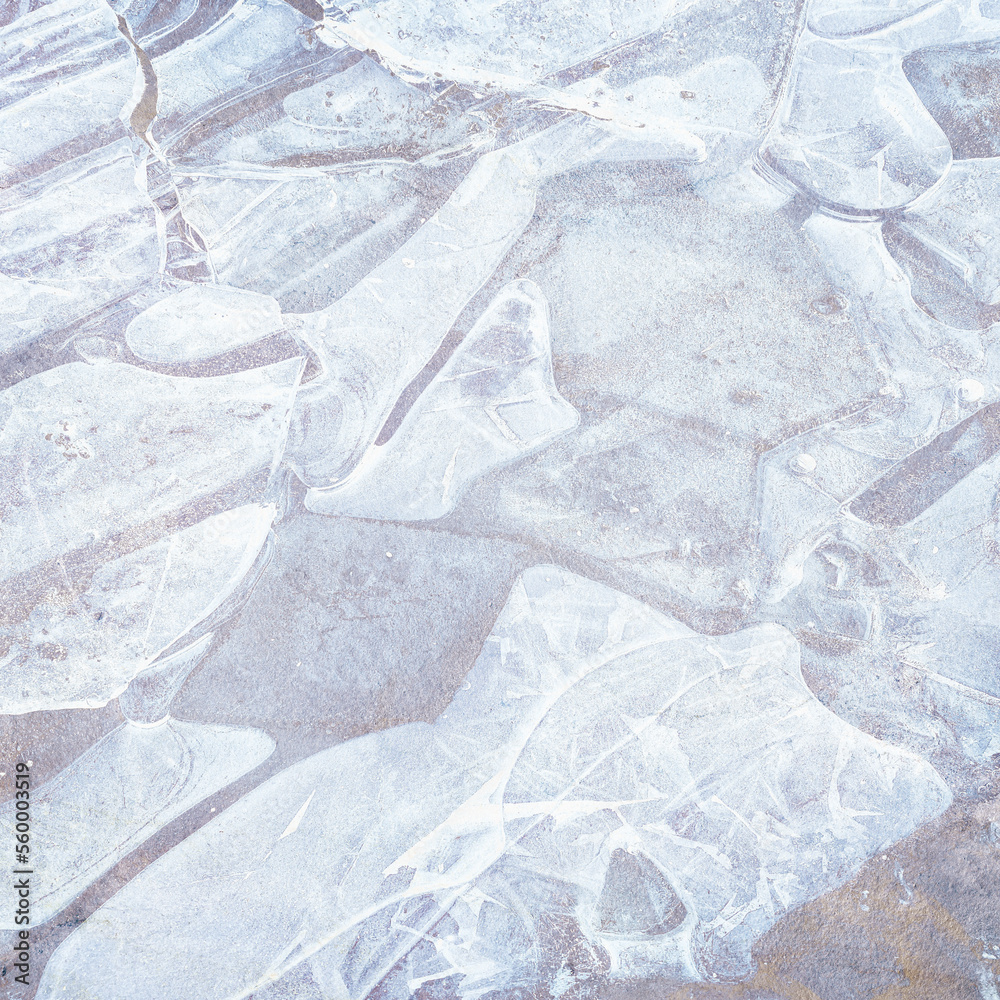 Obraz premium ice on the wall