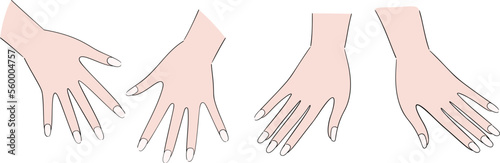 Close-up of the palm containing the nails