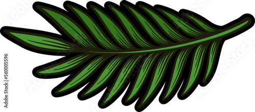Hand Drawing Tropical Leaf 